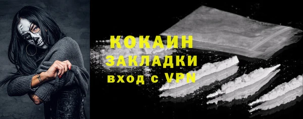кокс Алексин