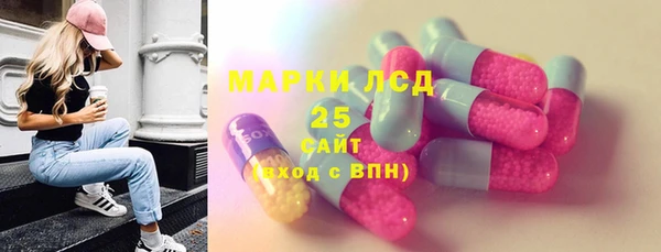 ECSTASY Алзамай