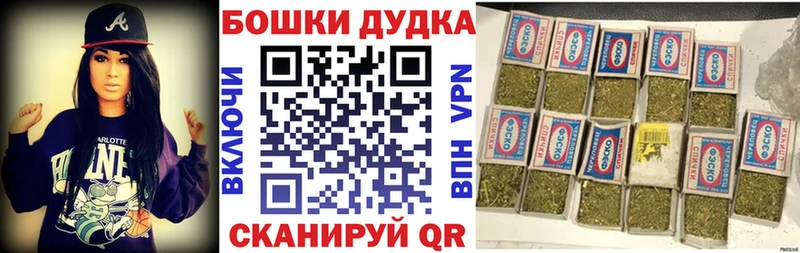 Каннабис ГИДРОПОН Ессентукская